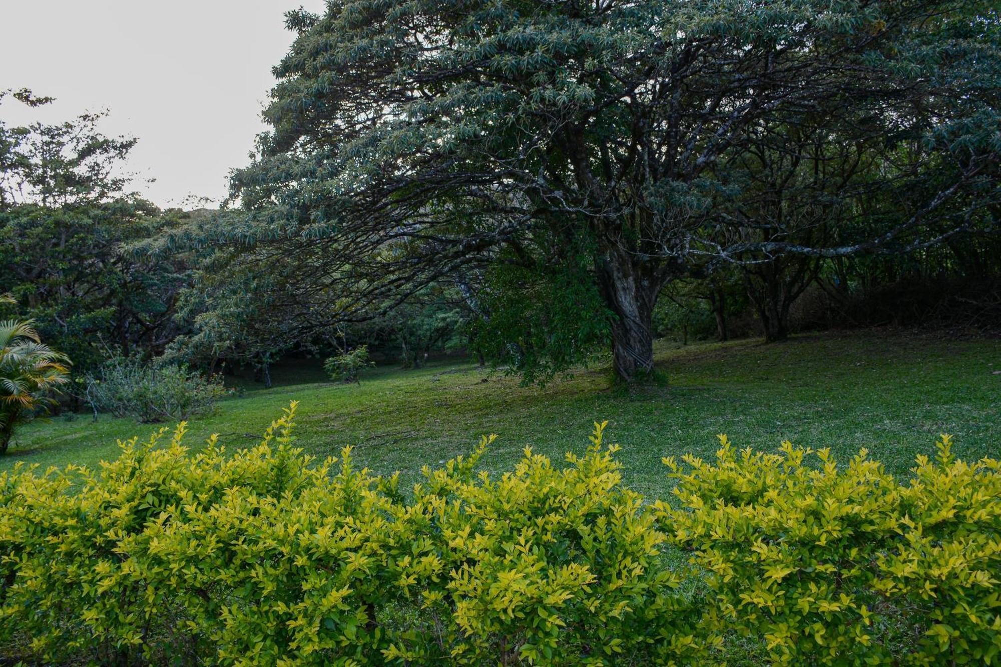 Las Marias Monteverde - Mountain View Cottages & Gardens Extérieur photo
